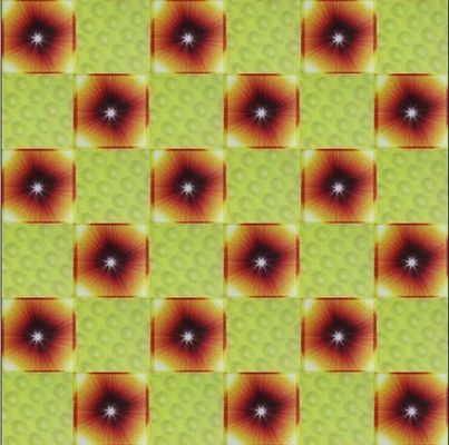 500ммx500мм водонепроницаемый 3D текстурированный ПВХ стены / потолок панели на заказ и красочные