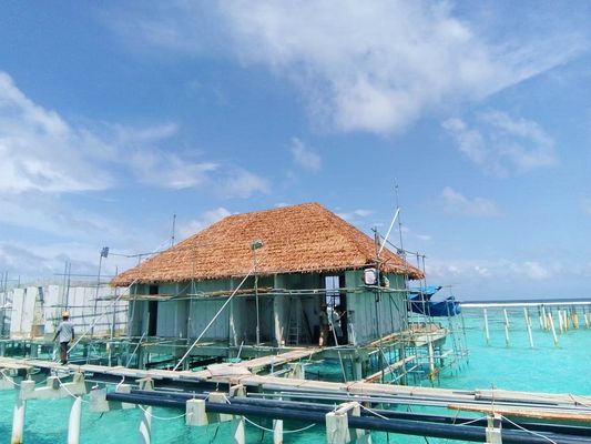 Никогда не исчезает Предотвращение пожаров Прямые кровельные плитки для симуляции окружающей среды Соломенная крыша