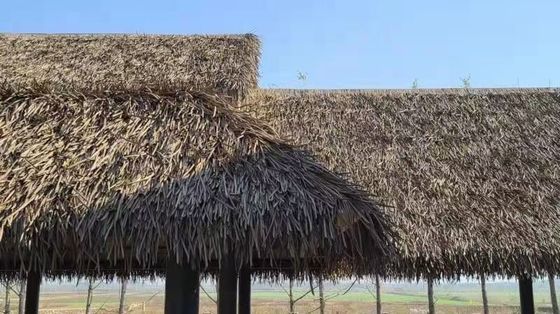 Наружное украшение соломенной крыши плитки с никогда не бледнеет особенности и длительный срок службы