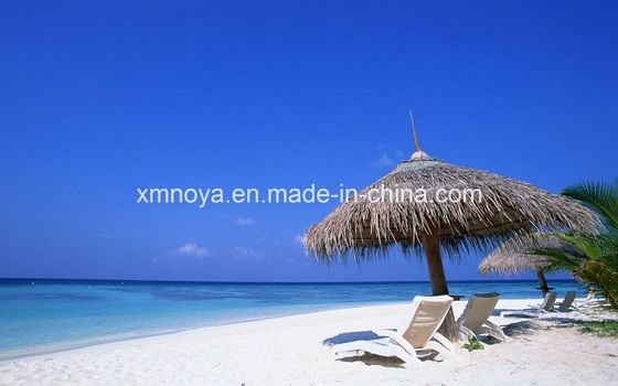 Специализированный водонепроницаемый соломенный кровельный материал для пляжа Синтетический и индивидуальный размер