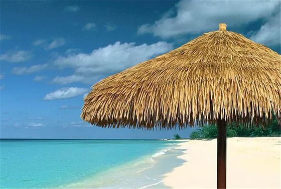 Огнестойкая оригинальная сверхдолгая продолжительность жизни синтетическая искусственная солома в лучшем случае